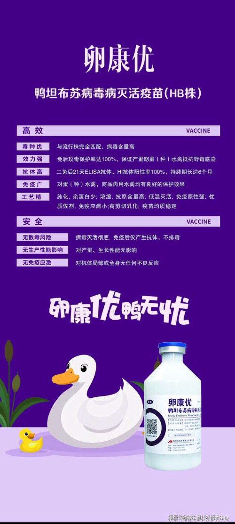 在家禽养殖中如何有效利用自动化设备