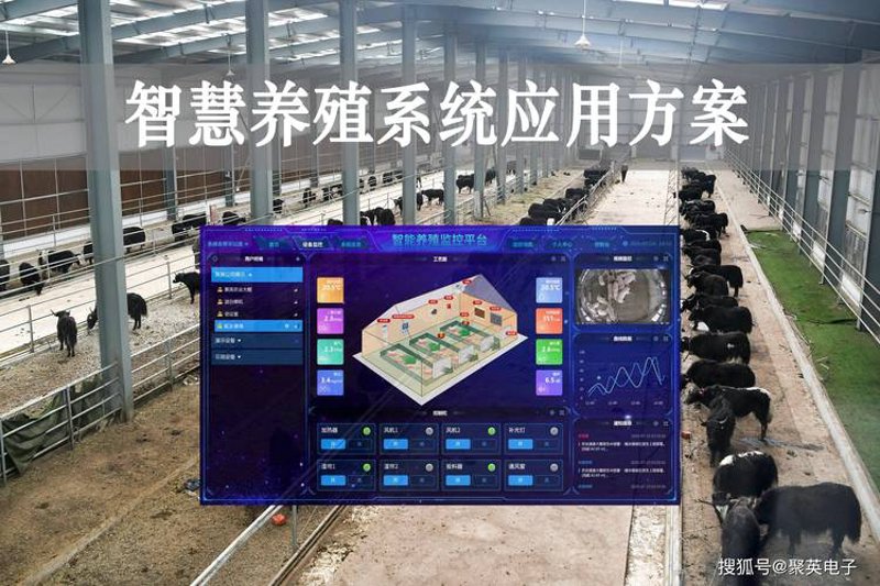 智能养殖系统的价值与应用：以农场为例